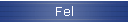 Fel